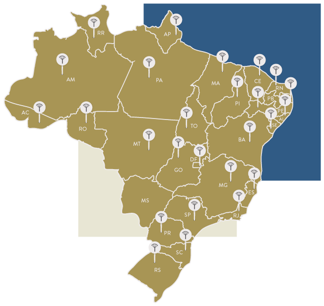 Ilustração do mapa do Brasil com marcações sinalizando presença da Aneethun. Está em todos os estados, exceto Mato Grosso do Sul, e Distrito Federal.