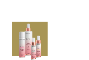 Fotos dos produtos da Linha Blend